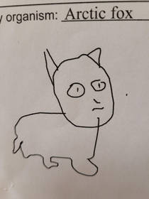 One of my students accidently drew my spirit animal
