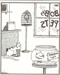 One of the funnier far side comics