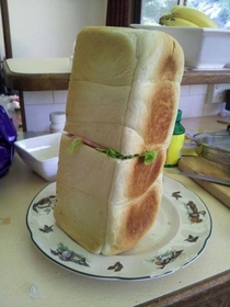 Only had enough bread to make one sandwich today 