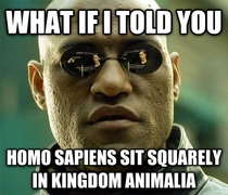 Only half the memes on AdviceAnimals are animals