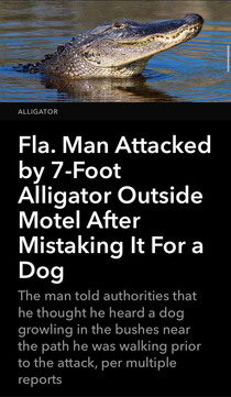 Only in Florida