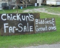 Only in Kentucky