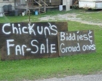 Only in Kentucky