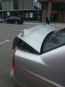 Only in my town would a person use a towel rod as a spoiler