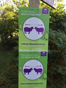 Only in wales would sheep be classed as a method of measurement