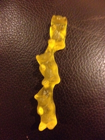 Opened my bag of gummy bears to find the human centipede