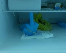 Opened the freezer at work to find this