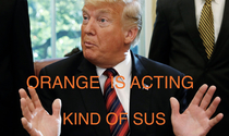 Orange is acting kind of sus