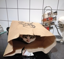 Ordered KFC and they sent this