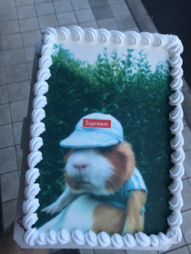 Ordered this ice cream cake for a coworkers birthday unfortunately they messed up and made it too late but the guy sent me this pic via email