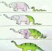 Origin Of Dinosaurs