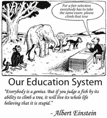 Our Education system