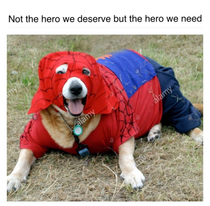 Our hero