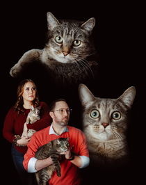 Our Holiday Card This Year Meowy Christmas