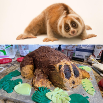 Our kid wanted a loris cake for his rd birthday - how hard could it be