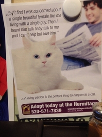Our local animal shelter is getting pretty creative with their posters