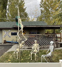 Our neighbors went all out with their Halloween decor this year