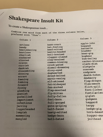 Our teacher told us to get In groups and practise theses Shakespearean insults i love english a lot more