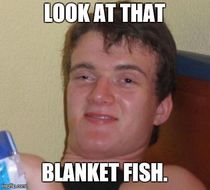 Overheard a woman talking about a stingray at an aquarium