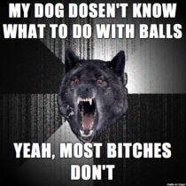 Overheard at dog park Some guy was trying to get this cute girls dog to fetch a ball