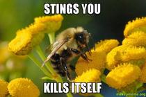 Overly Dramatic Bee