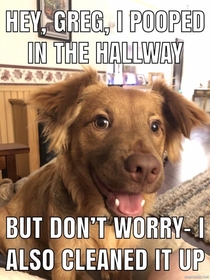 Overly positive pup