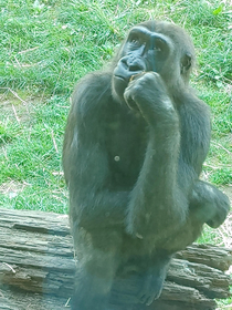 overseen at the philadelphia zoo today