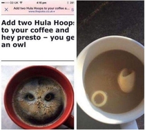 Owl in Coffee ExpectationsvsReality