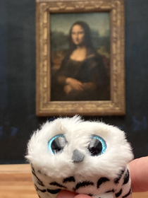 Owley enjoyed Paris -our daughter sent her snuggley with us to Paris We stood in a queue to see the Mona Lisa and took a selfie