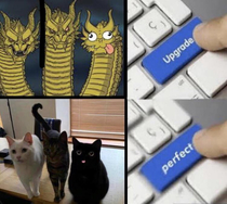 P E R F E C T