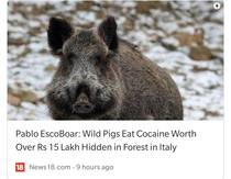 Pablo EscoBoar living his best life