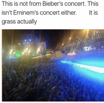 Packed Concert or