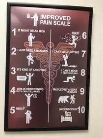 Pain scale from my PTs office