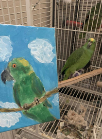 Painted a picture of my parrot he looks offended