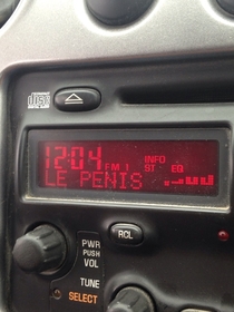 Pardon my French but my radio is being a dick