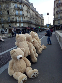 Parisian drunk bears