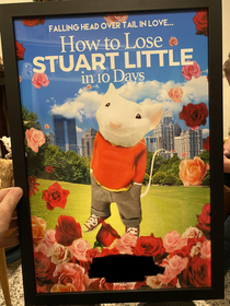 Part  of gifting my brother Stuart Little-themed movie posters