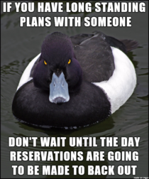 Part of the reason I hate making plans with people