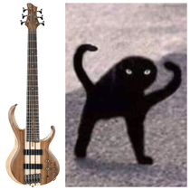 Partner showed me the bass he wants and this was all I could think of