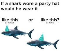 Party animals Shark edition