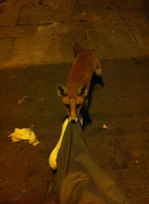 Passed out at a London bus stop Woke up to this