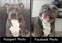 Passport vs Facebook photo
