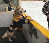 Penalty for ruffing