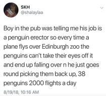 Penguin Erector