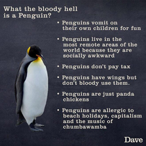Penguins explained