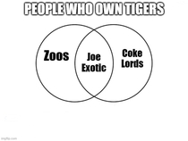 People who own tigers