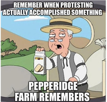 People will protest to protest just to protest