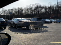 Person parked in the Cart coral at Walmart and the cart collector personally didnt let that slide