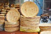 Peshawari Naan shop Guard Dog -