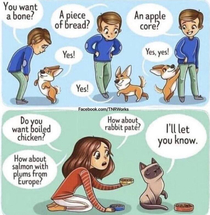 Pet Ownership